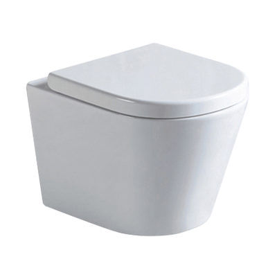 Argent Vista Wall Hung Pan & Seat