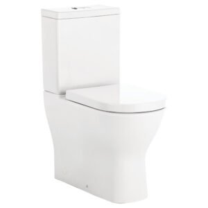 fienza delta back to wall toilet