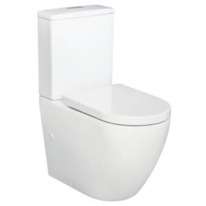 fienza alix back to wall toilet